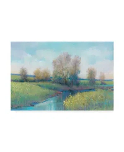 Trademark Global Tim Otoole Hidden Stream I Canvas Art In Multi