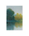 Trademark Global Tim Otoole Last Light I Canvas Art In Multi