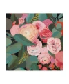Trademark Global Victoria Borges Eucalyptus Bouquet Ii Canvas Art In Multi