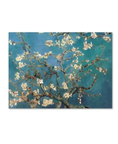 Trademark Global Vincent Van Gogh 'almond Blossoms' Canvas Art In Multi
