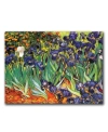 Trademark Global Vincent Van Gogh 'irises At Saint-remy' Canvas Art In Multi