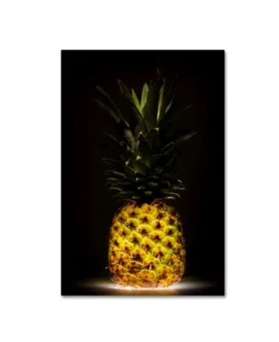 Trademark Global Wieteke De Kogel 'pineapple' Canvas Art In Multi