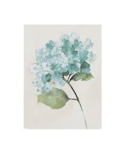 Trademark Global Wild Apple Portfolio Antique Floral On Cream I Blue Canvas Art - 20" X 25" In Multi