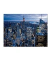 Trademark Global Yakov Agani 'new York City, Ny' Canvas Art In Multi