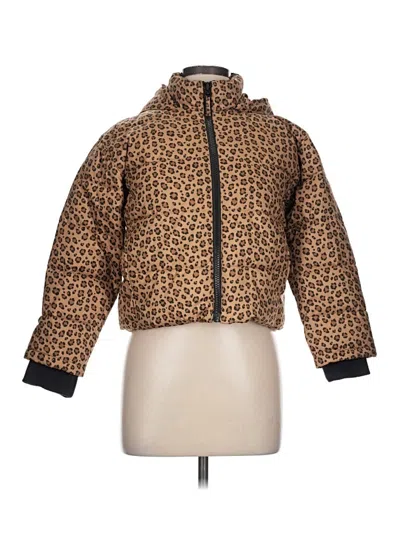 Pre-owned Trademark Jacket In Brown
