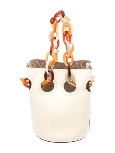 Pre-owned Trademark Leather Bucket Bag In Neutral
