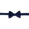 Trafalgar Banbury Tone On Tone Paisley Silk Bow Tie In Blue