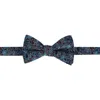 Trafalgar Enzo Exploded Floral Silk Bow Tie In Multiple