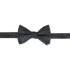 Trafalgar Esteban Scrolling Vines Tone On Tone Patterned Silk Bow Tie In Silver And Black