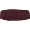 Trafalgar Mystere Metallic Star Light Cummerbund In Red
