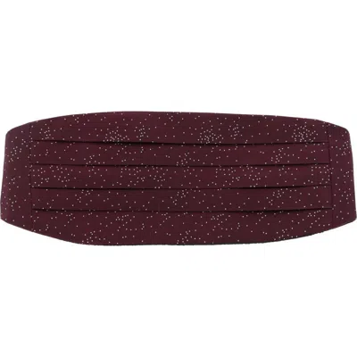 Trafalgar Mystere Metallic Star Light Cummerbund In Red