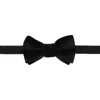 Trafalgar Poirot Velvet Solid Colored Bow Tie