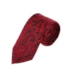 Trafalgar Sobee Paisley Silk Pocket Square