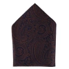 Trafalgar Sobee Paisley Silk Pocket Square In Brown