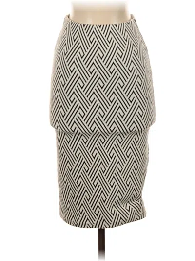 Pre-owned Trafaluc By Zara Casual Skirt In Gray