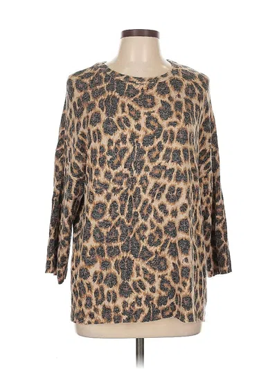 Pre-owned Trafaluc By Zara Pullover Sweater In Brown