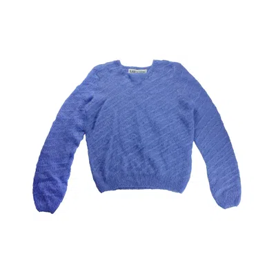 Tramp In Disguise Women's Blue Bleuet Jumper