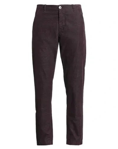 Transit Man Pants Plum Size L Cotton, Polyester, Elastane In Brown