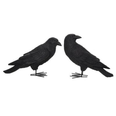 Transpac Resin Fright Night Crow Set Of 2 Decorative Objects For Halloween Home Decor In Black