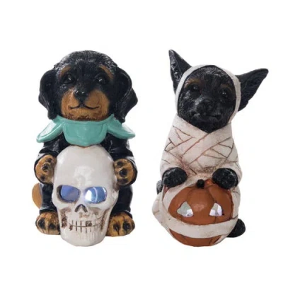 Transpac Resin Light Up Halloween Puppy Figurine Set Of 2 Decorations In Multi