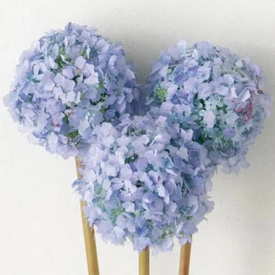 Transpac Sullivan's Allium Bunch, Blue Faux Floral Stem For Crafting, Weddings, Home And Holiday Dec