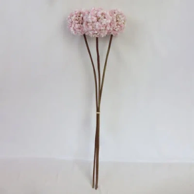 Transpac Sullivan's Allium Bunch, Pink Faux Floral Stem For Crafting, Weddings, Home And Holiday Dec