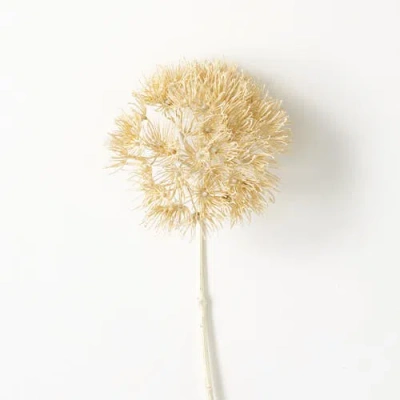 Transpac Sullivan's Allium Spray, Cream Faux Floral Stem For Crafting, Weddings, Home And Holiday De In Sand