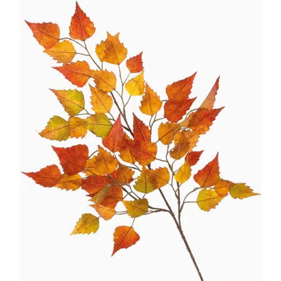 Transpac Sullivan's Birch Spray, Orange Faux Floral Stem For Crafting, Weddings, Home And Holiday De