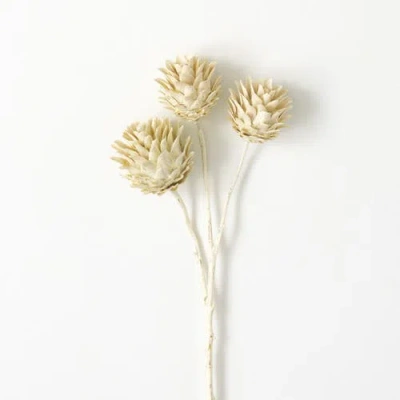 Transpac Sullivan's Dragon Spray, White Faux Floral Stem For Crafting, Weddings, Home And Holiday De In Sand