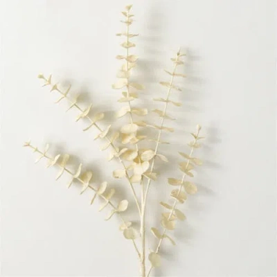 Transpac Sullivan's Eucalyptus Spray, Cream Faux Floral Stem For Crafting, Weddings, Home And Holida In Sand