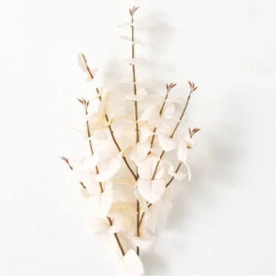 Transpac Sullivan's Eucalyptus Stem, Cream Faux Floral Stem For Crafting, Weddings, Home And Holiday In Sand