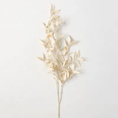 Transpac Sullivan's Ruscus Stem, Cream Faux Floral Stem For Crafting, Weddings, Home And Holiday Dec In Neutral