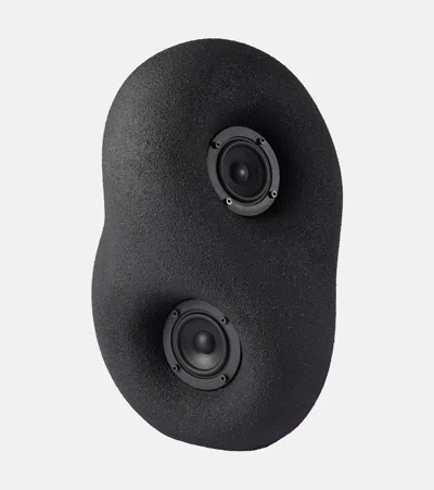 Transparent Acoustic Sculpture Speaker