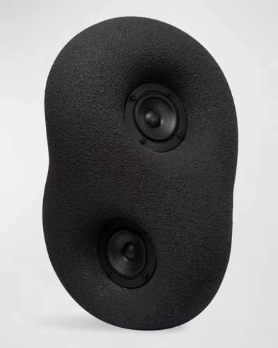 Transparent Sound Acoustic Bluetooth Sculpture Speaker In Black