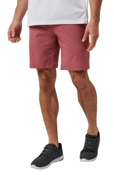 Travismathew Travel Year Flat Front Shorts In Heather Roan Rouge