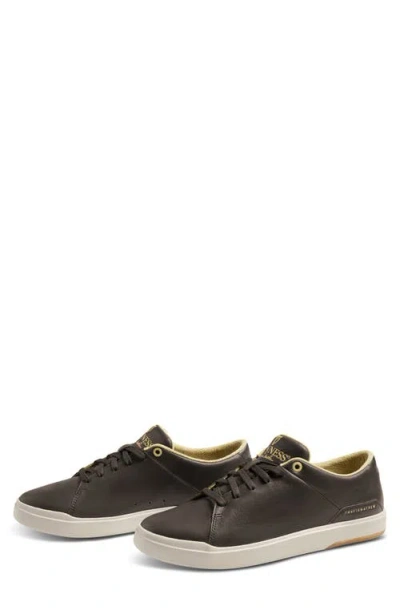 Travismathew X Guinness® The Modern Cup Sneaker In Multi