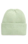 Treasure & Bond Classic Rib Beanie In Green Frozen