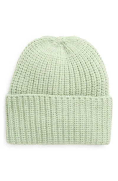 Treasure & Bond Classic Rib Beanie In Green Frozen