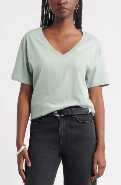 Treasure & Bond Core Cotton V-neck T-shirt In Neutral