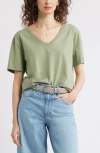 Treasure & Bond Core Cotton V-neck T-shirt In Olive Acorn