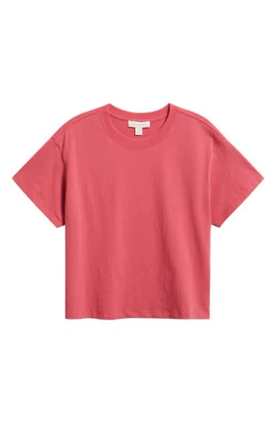 Treasure & Bond Favorite Cotton T-shirt In Brown