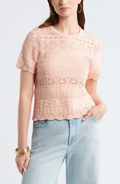 Treasure & Bond Pointelle Cotton Crewneck Sweater In Multi