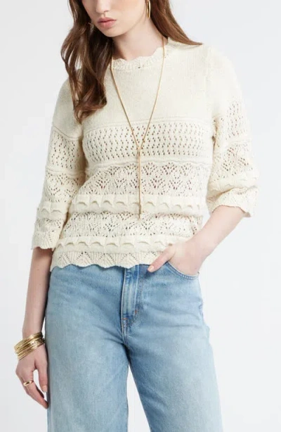 Treasure & Bond Pointelle Knit Scallop Trim Cotton Sweater In Neutral