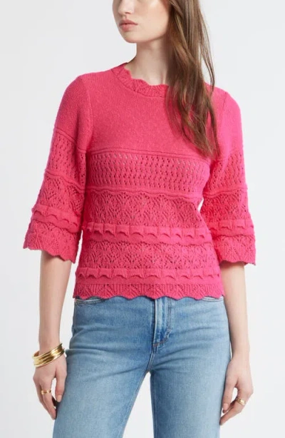 Treasure & Bond Pointelle Knit Scallop Trim Cotton Sweater In Multi