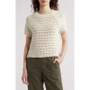 Treasure & Bond Pointelle Raglan Sleeve Sweater In Ivory Dove