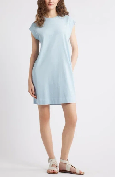 Treasure & Bond Raglan Sleeve Cotton Minidress