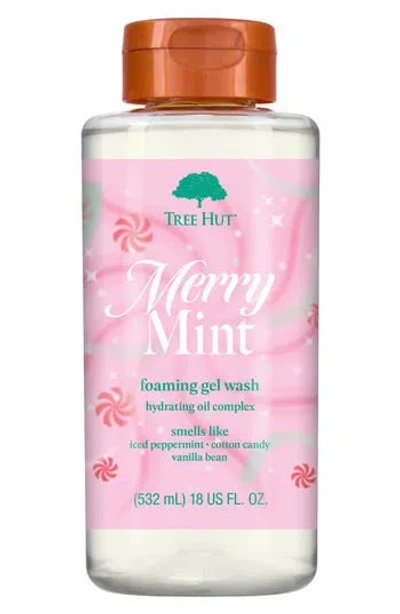 Tree Hut Mint Foaming Gel Wash In Transparent