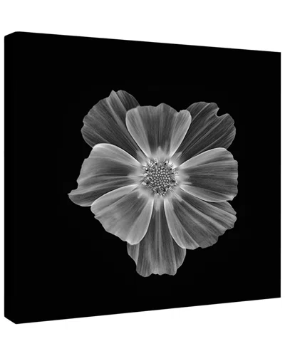 Trend Board Life Almost Transparent Floral Modern Decor Canvas Art Print By Lotte Gronkjar In Multi
