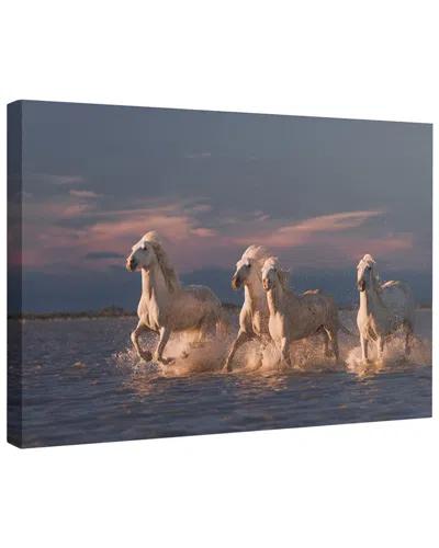 Trend Board Life Angels Of Camargue Horse Modern Decor Canvas Art Print By Rostovskiy Anton In Brown