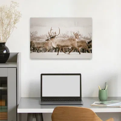 Trend Board Life Firth - Photography Animals Deer Scotland Art